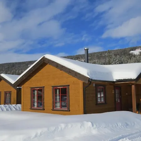 Camp بيت خشبي *